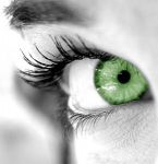 Ho trovato un tesoro