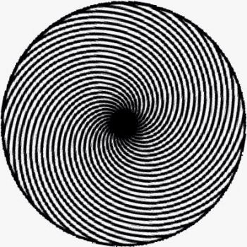 I corvi e le pannocchie