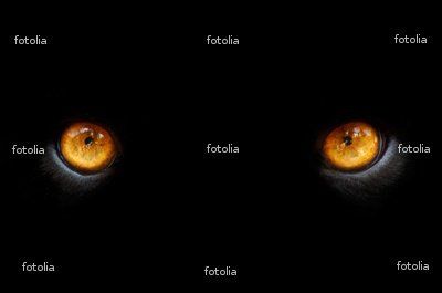 Una partita... a scacchi