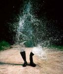 Trentottesimo parallelo (la divisione)