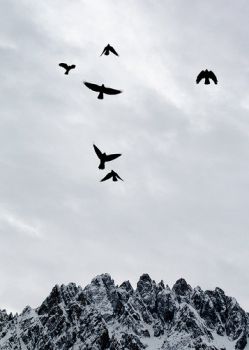 Non avendo più spazi