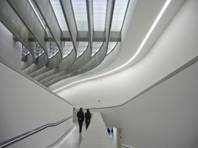 Nel ventre della balena  