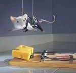 L'acqua � poca, scarseggia  