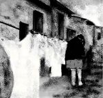 Poesia quasi d'amore, per persone che non sanno