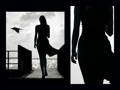 Lasciando al fato, l'ardire d'intervenire