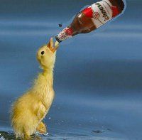 Ichnusa (il centenario)