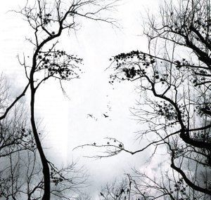 Amicizia (o dell'amore universale)