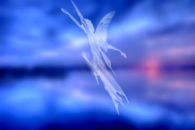 Confessioni d'una lavastoviglie