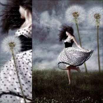 Tra le lasciate, del vento