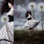 Tra le lasciate, del vento