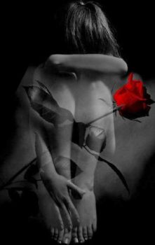 D'anemone mirtillo e rose rosse