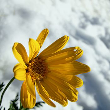 Nel solaio delle stagioni andate  