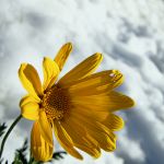 Nel solaio delle stagioni andate