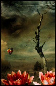 Aquiloni in soffitta