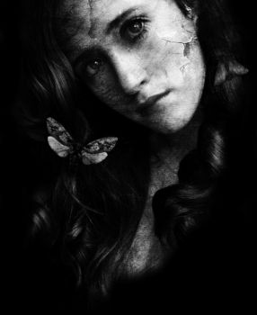 L'insostenibile distanza