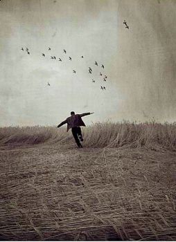 D'Amore e di lill�  