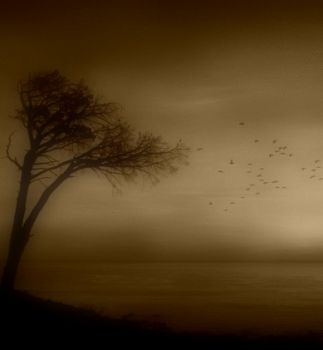 All'improvviso il cielo