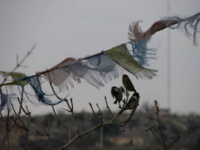 Il vento, non lo dissi mai