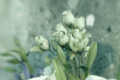 Nei giorni in cui torno