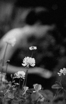 Le tue foglie tra la neve  