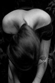 La fragilità del vento