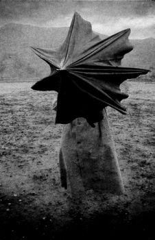 Accompagnandomi le sere