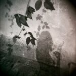 E non lo spegne il vento