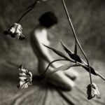 Viaggi, Sul dorso di un pensiero