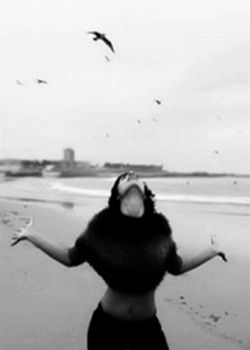 Aironi d�acqua dolce