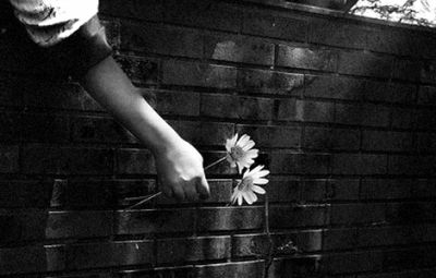 Dove piega l�ombra il cipresso