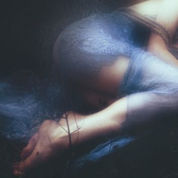 La memoria dei fiordalisi