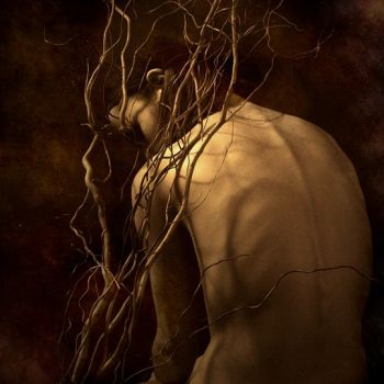 Di rose e screziati autunni