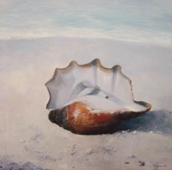 Il silenzio delle conchiglie (la prima neve d’agosto)