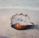 Il silenzio delle conchiglie (la prima neve d’agosto)