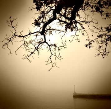 Quell’ indelebile tenerezza del cadere