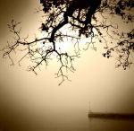 Quell� indelebile tenerezza del cadere