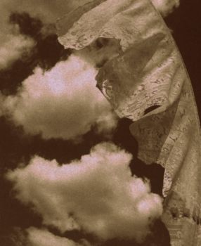 Similitudini e distanze