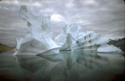 Parole che non perdono