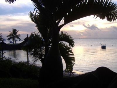 Quelle notti in cui il sole non tramonta mai