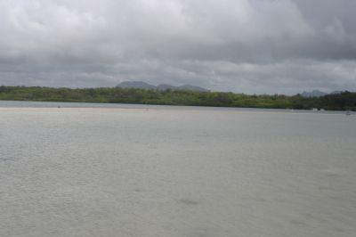 Il silenzio negli occhi