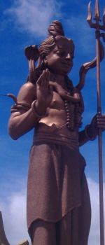 I silenzi della voce