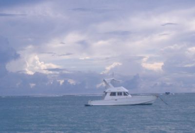 Ritrovando la strada