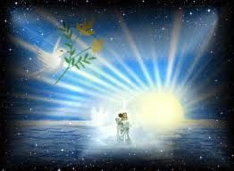 Tra la ragione e il cuore  