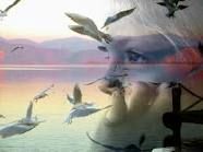 Il Capitano E' Tornato  