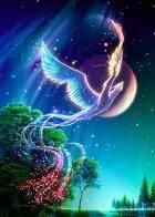 A Graffiare Il Cielo