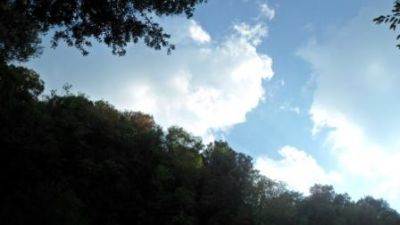 Verde E' Il Mio Colore