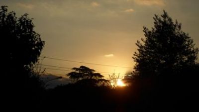 Tra Le Pieghe Del Cuore Sussurrano Parole