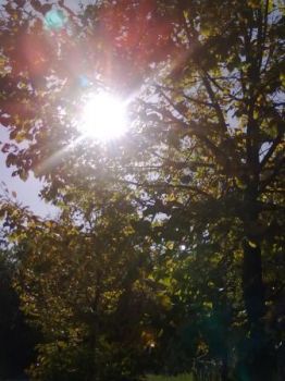 E Prendono Sonno Anche I Sogni