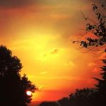 L� Dove Regna L'oblio