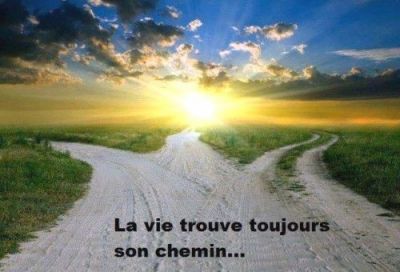 Passé, présent et futur